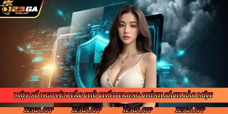 mot-so-nguyen-tac-chu-chot-trong-chinh-sach-bao-mat