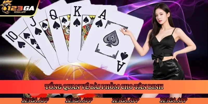 tong-quan-ve-bai-phom-cho-tan-binh